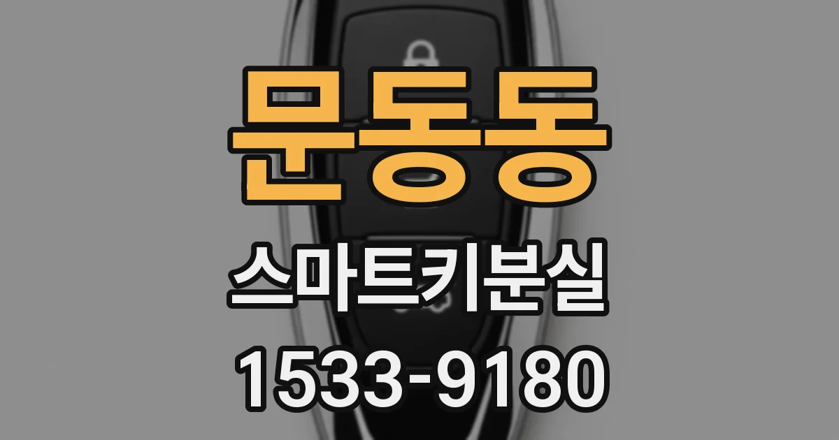문동동 스마트키분실