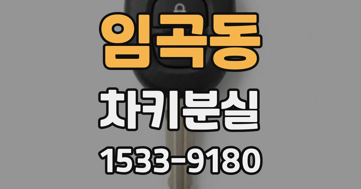 임곡동 차키분실