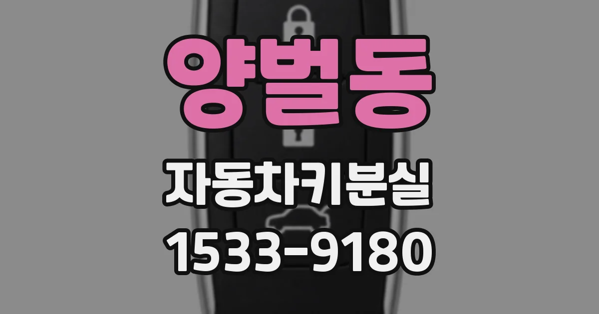 양벌동 자동차키분실