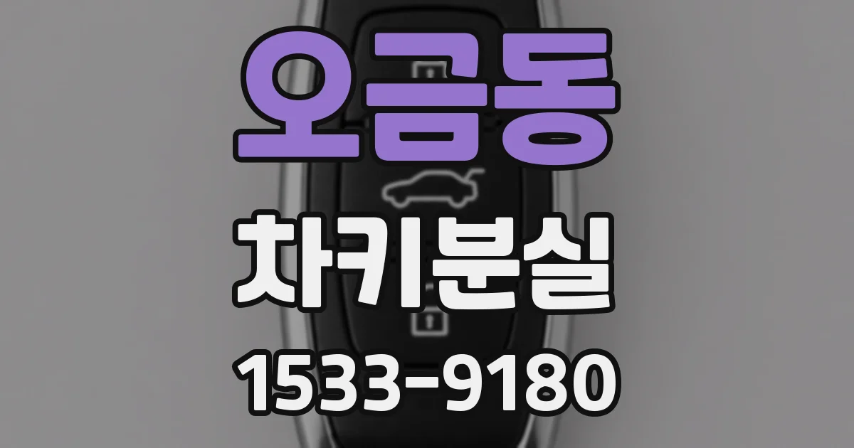 오금동 차키분실