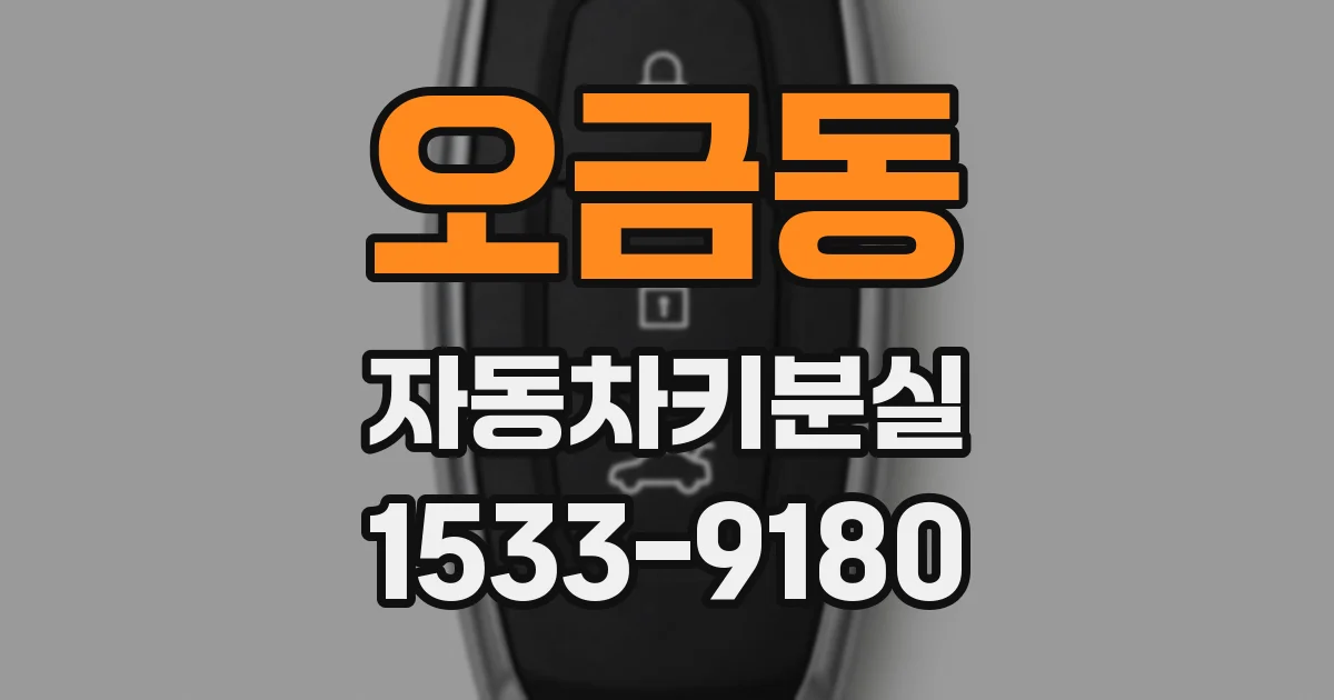오금동 자동차키분실