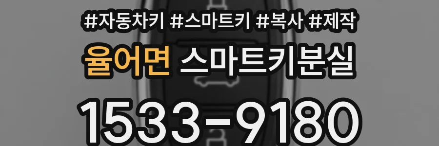 율어면 스마트키분실