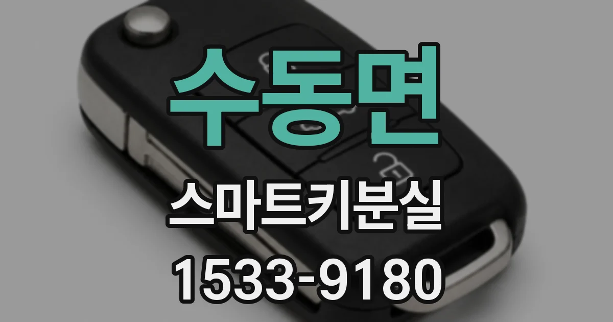 수동면 스마트키분실