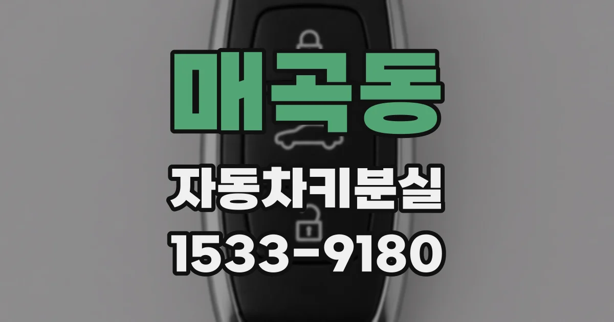 매곡동 자동차키분실