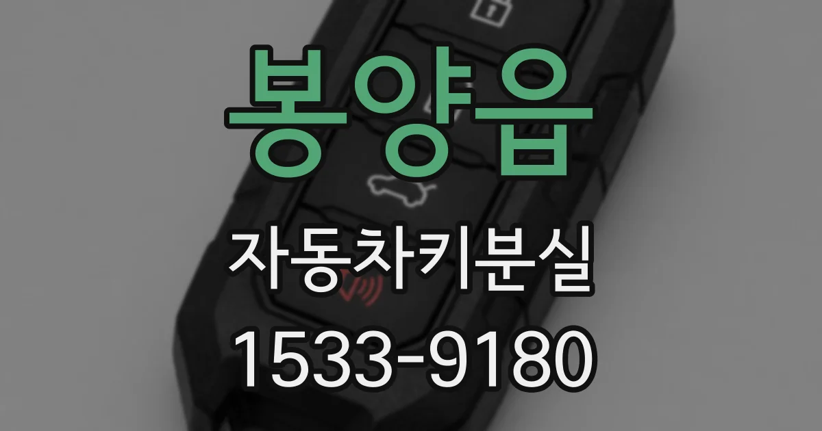 봉양읍 자동차키분실