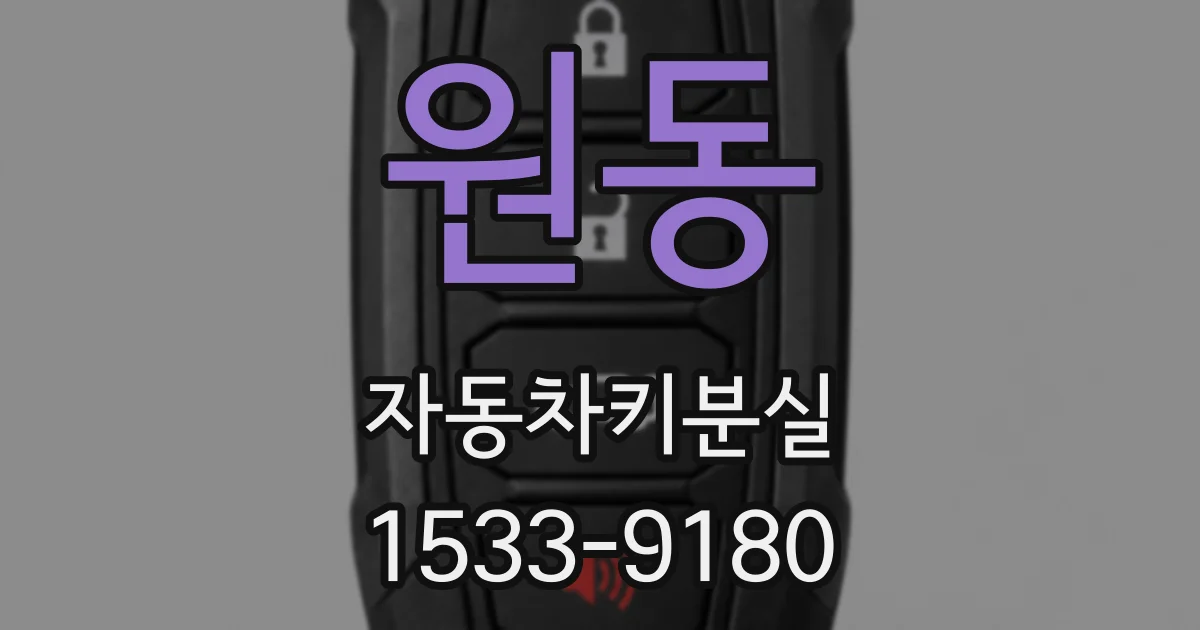 원동 자동차키분실