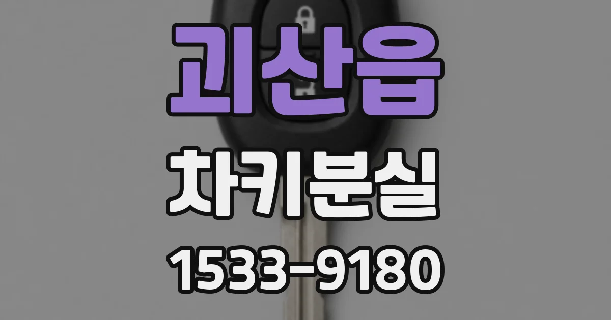 괴산읍 차키분실