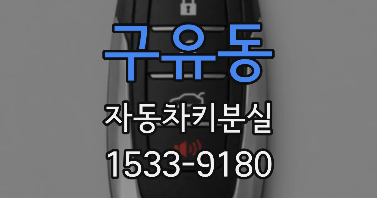 구유동 자동차키분실