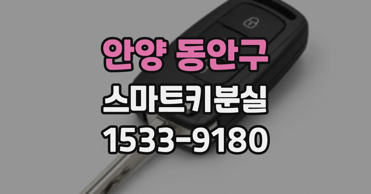 안양 동안구 스마트키분실