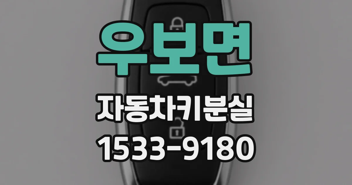 우보면 자동차키분실
