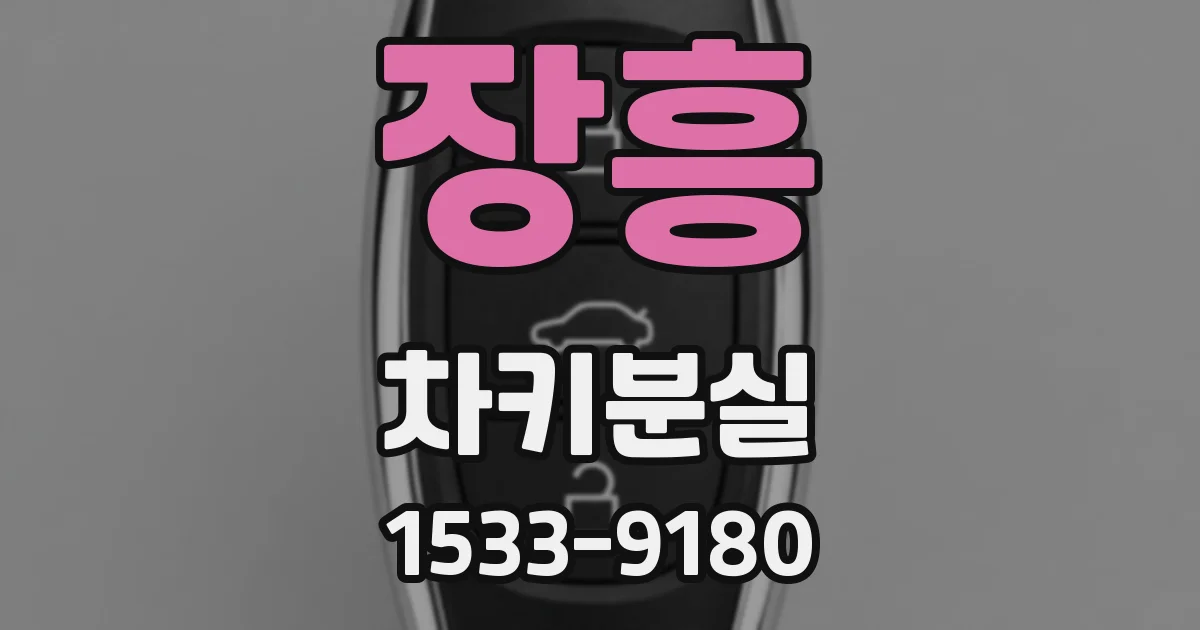 장흥 차키분실
