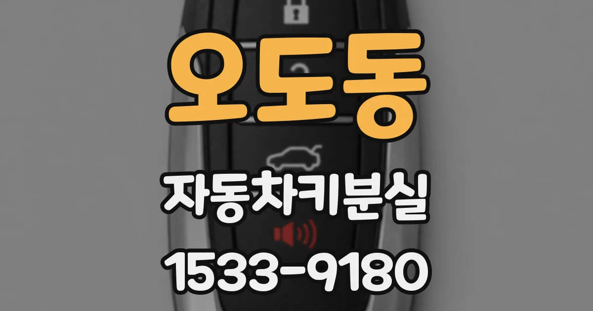 오도동 자동차키분실