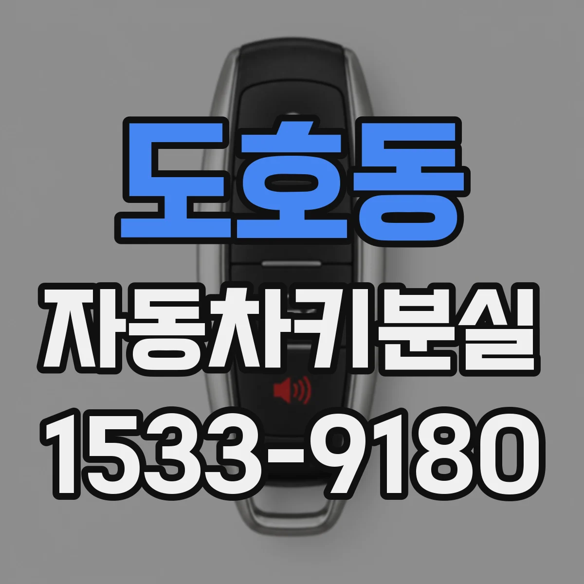 도호동 자동차키분실