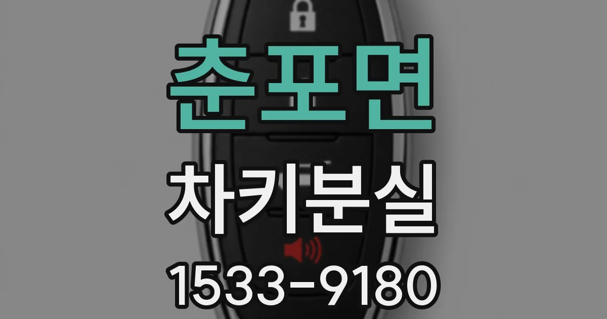 춘포면 차키분실
