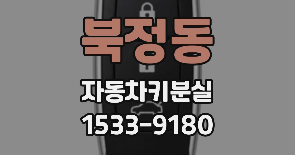 북정동 자동차키분실
