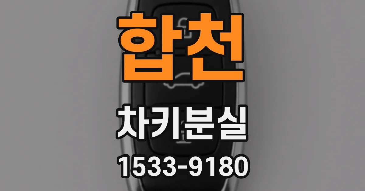 합천 차키분실
