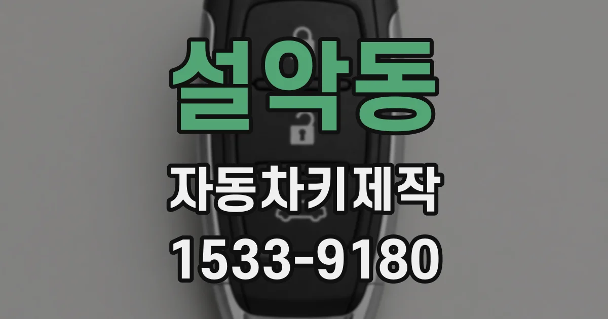 설악동 자동차키제작