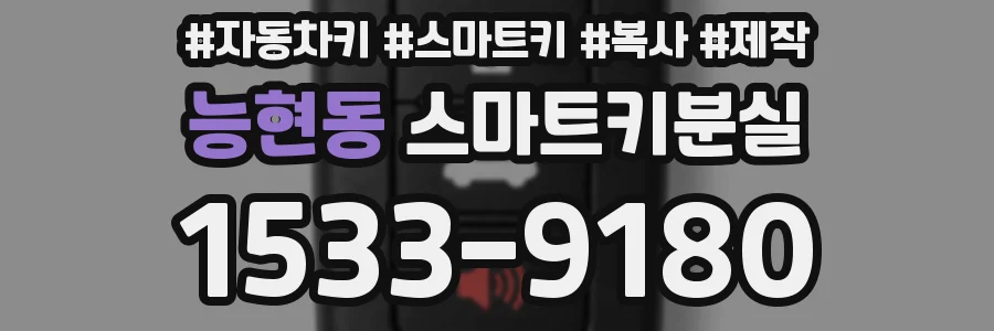 능현동 스마트키분실