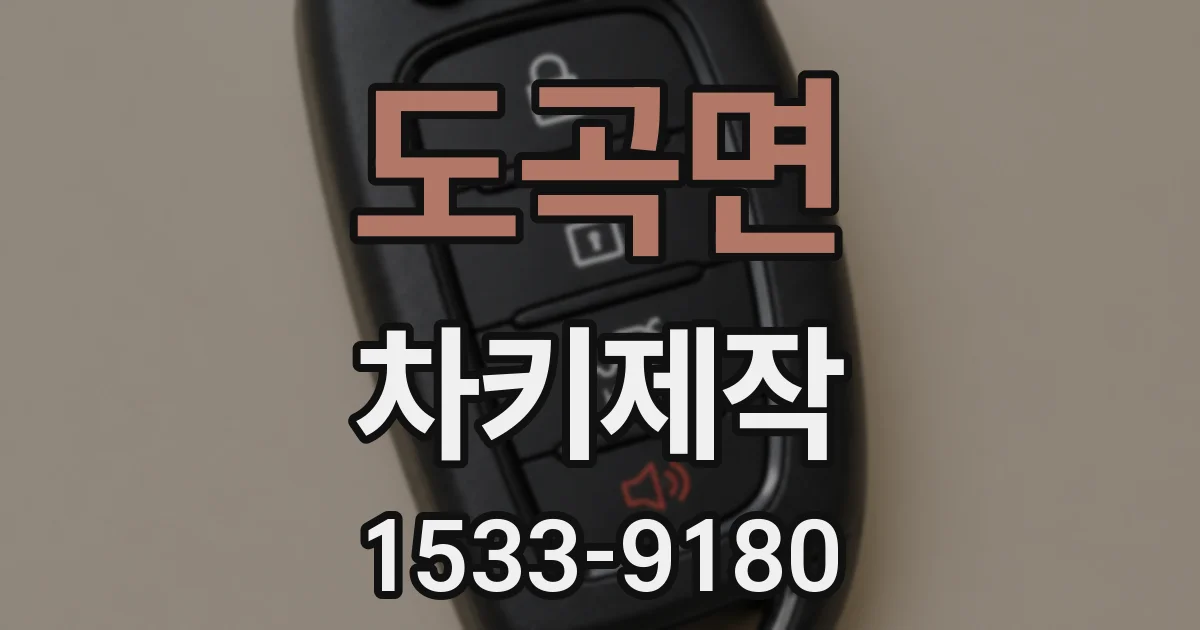 도곡면 차키제작