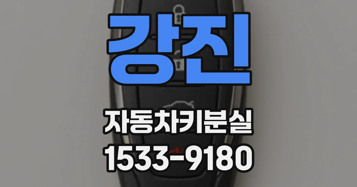 강진 자동차키분실