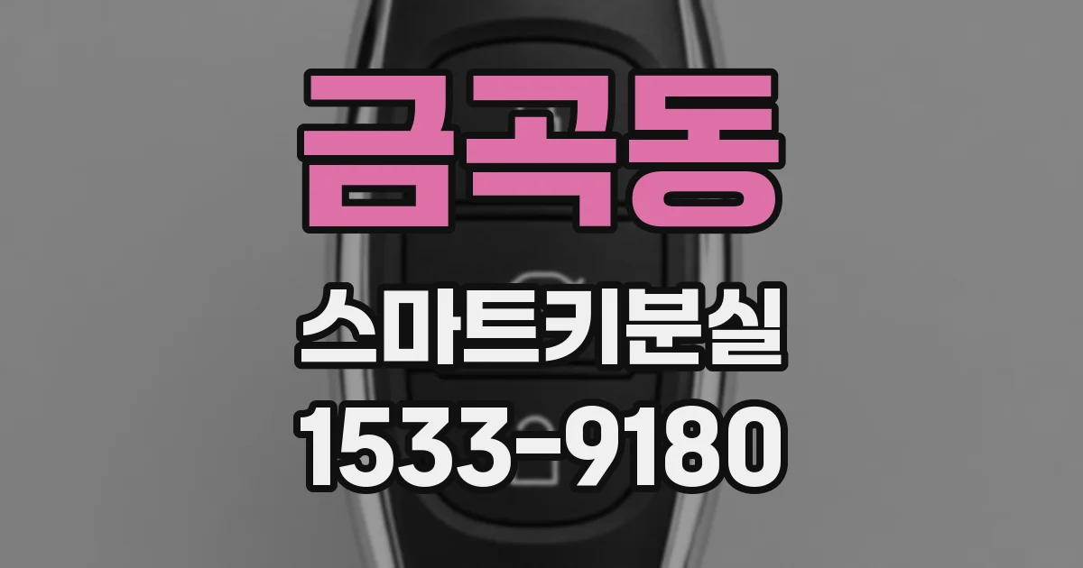 금곡동 스마트키분실