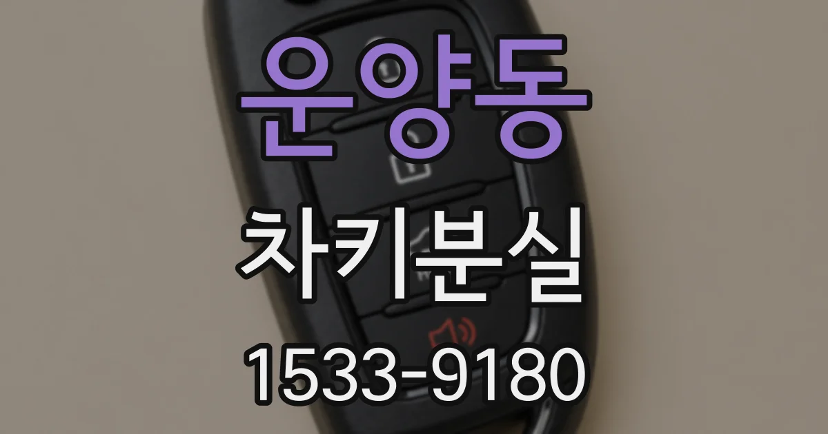 운양동 차키분실