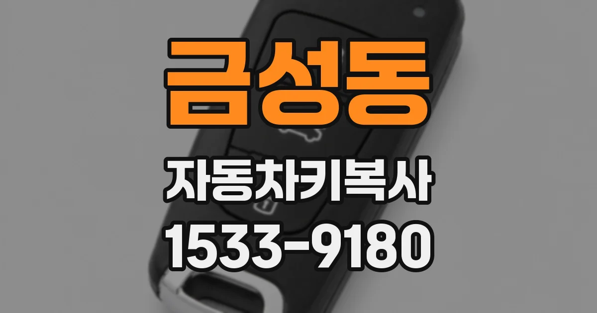 금성동 자동차키복사