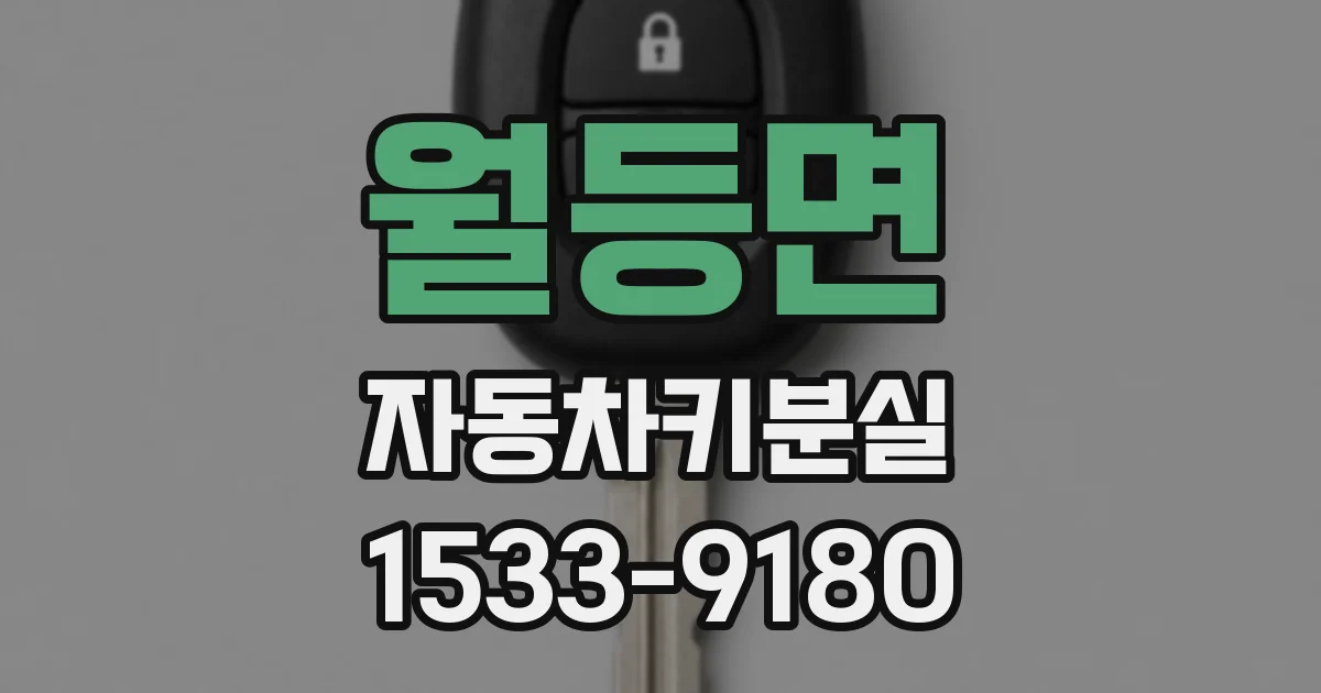 월등면 자동차키분실