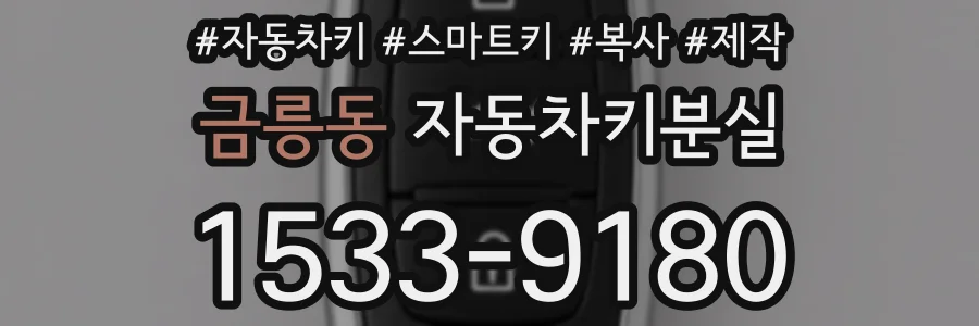 금릉동 자동차키분실