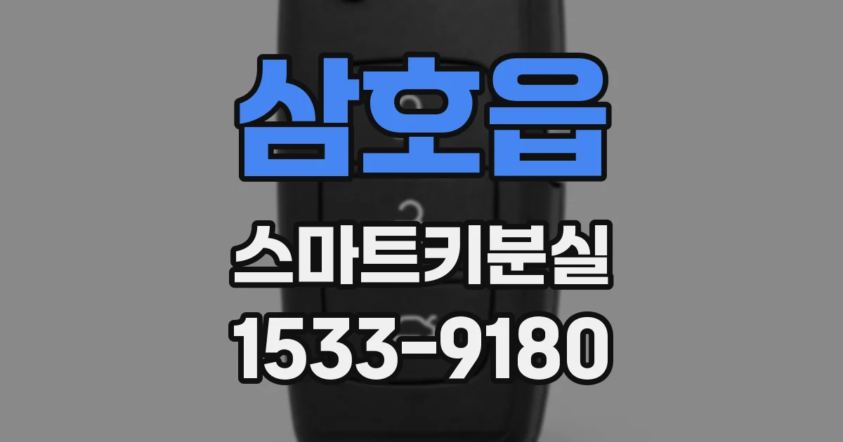 삼호읍 스마트키분실
