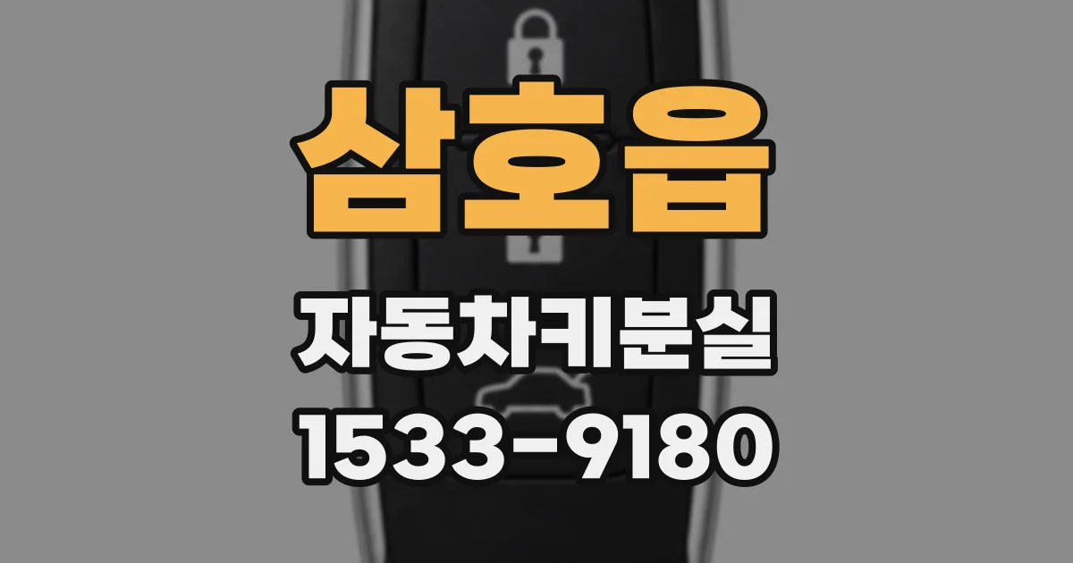 삼호읍 자동차키분실