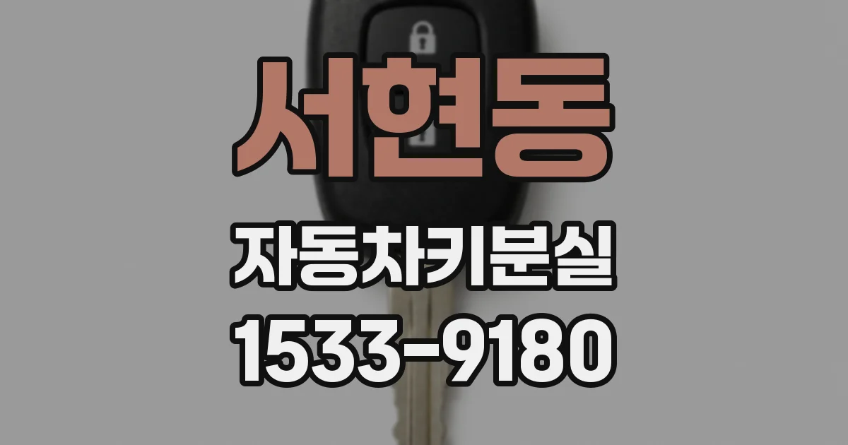 서현동 자동차키분실