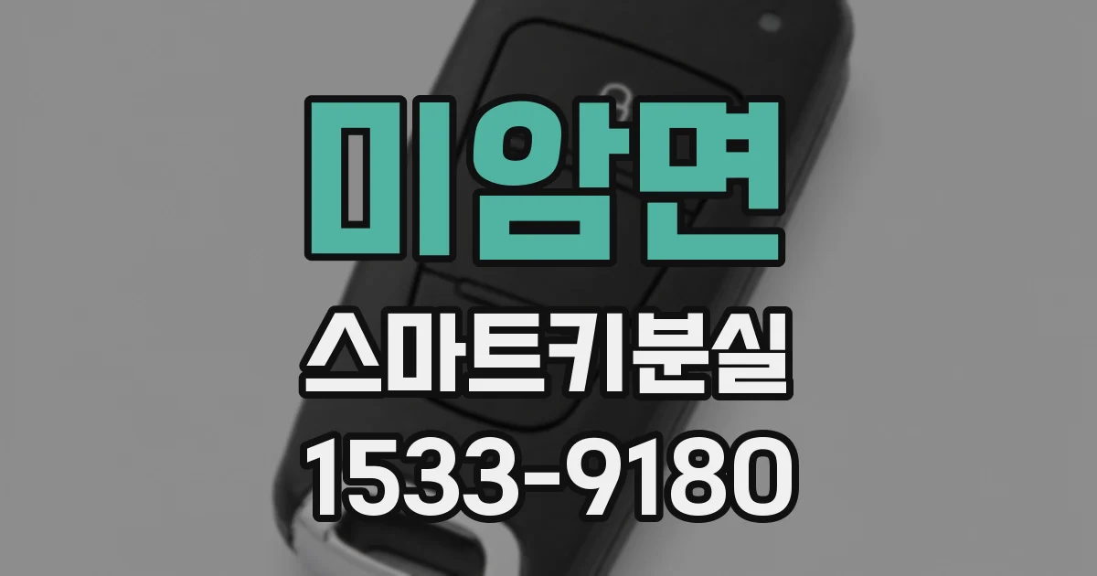 미암면 스마트키분실
