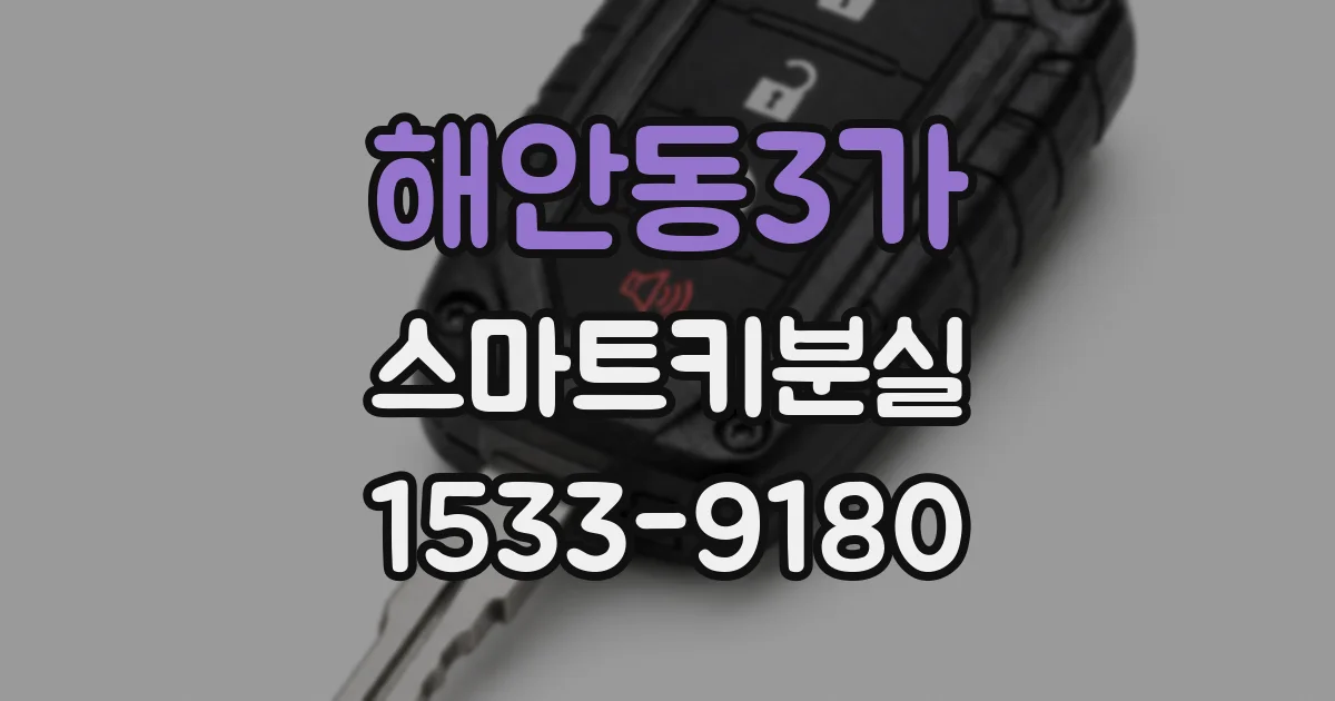 해안동3가 스마트키분실