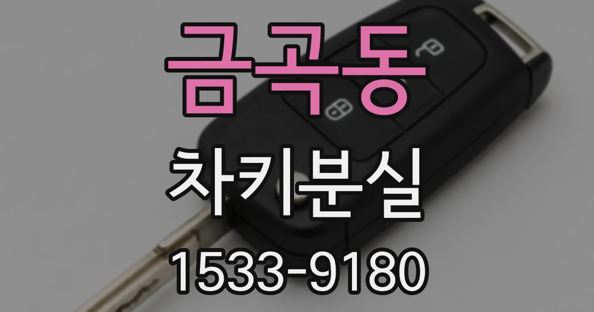 금곡동 차키분실
