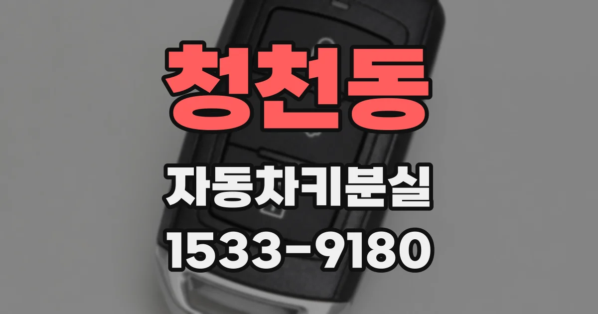 청천동 자동차키분실