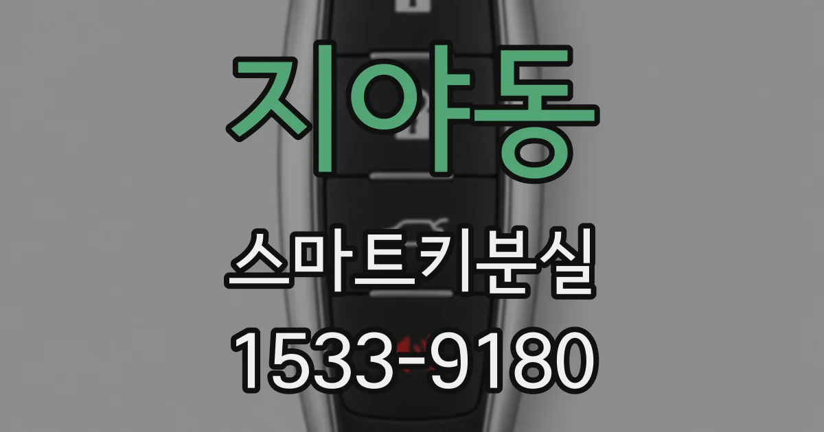 지야동 스마트키분실