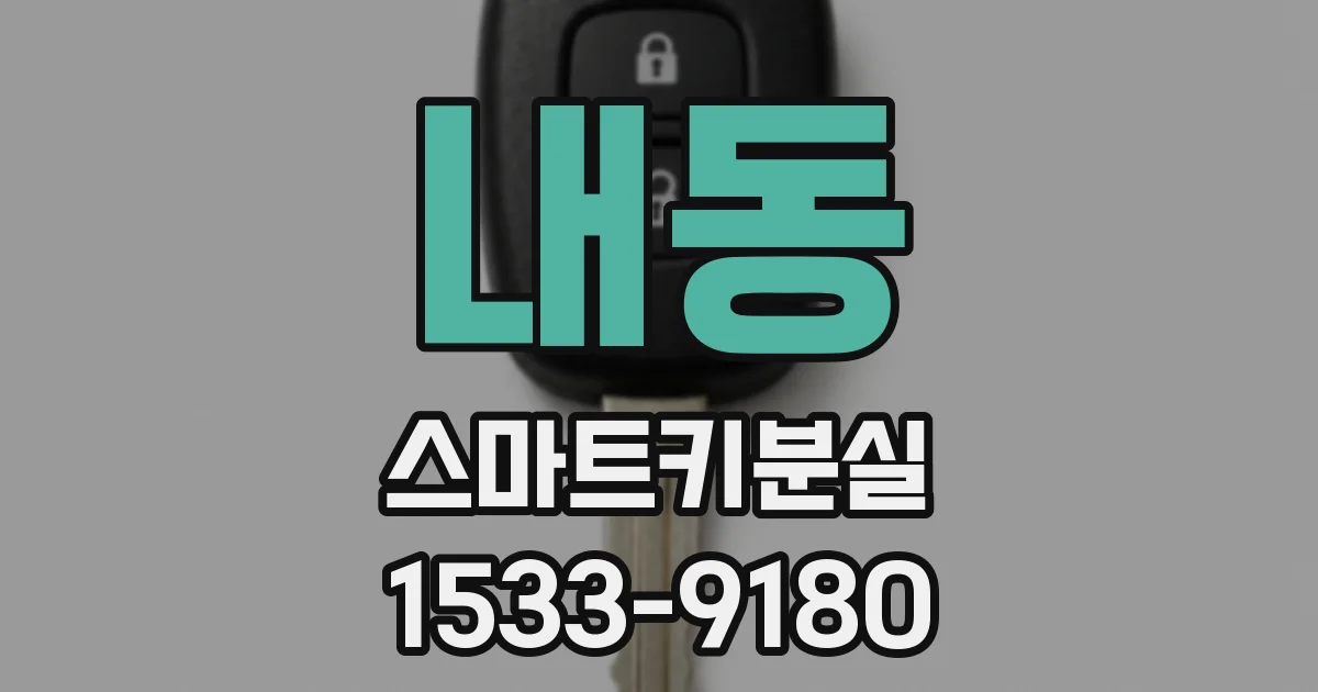 내동 스마트키분실