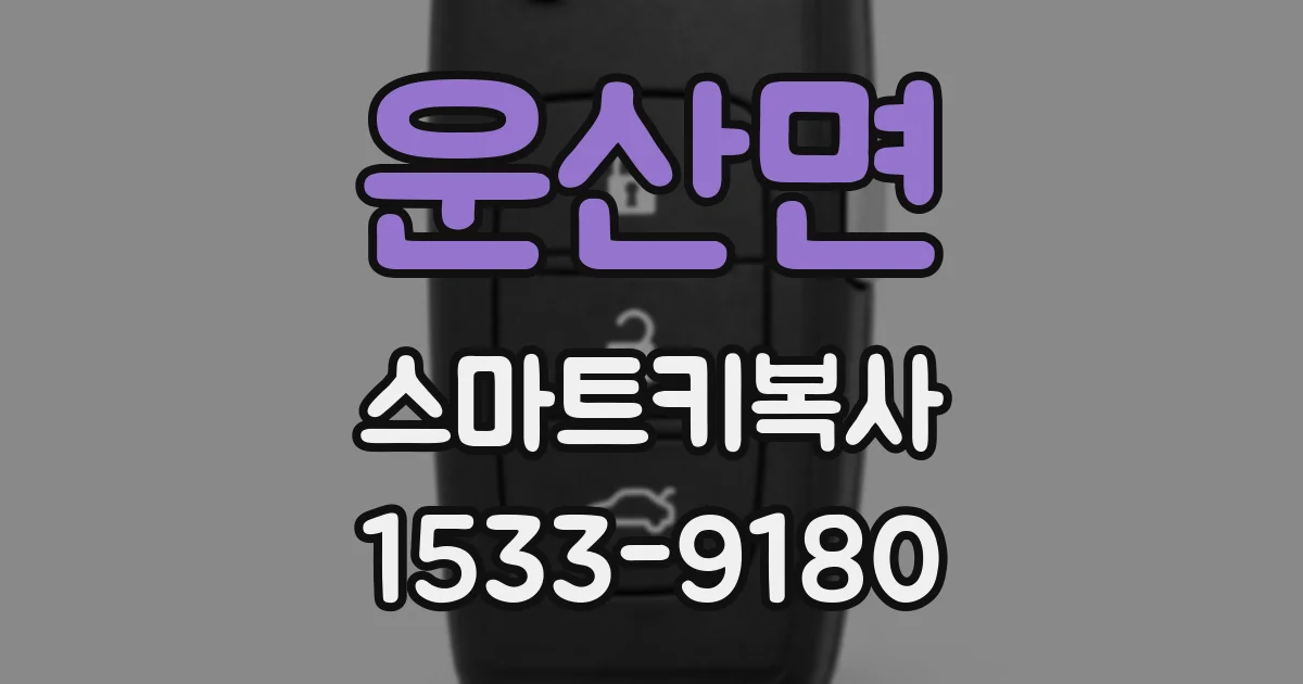 운산면 스마트키복사