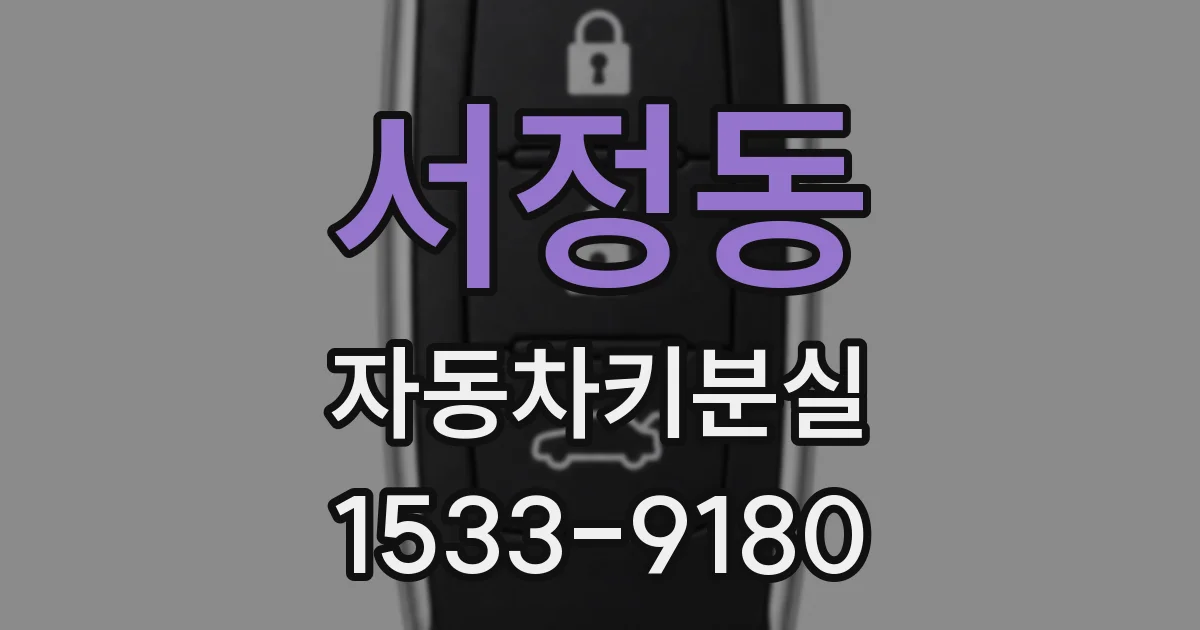서정동 자동차키분실