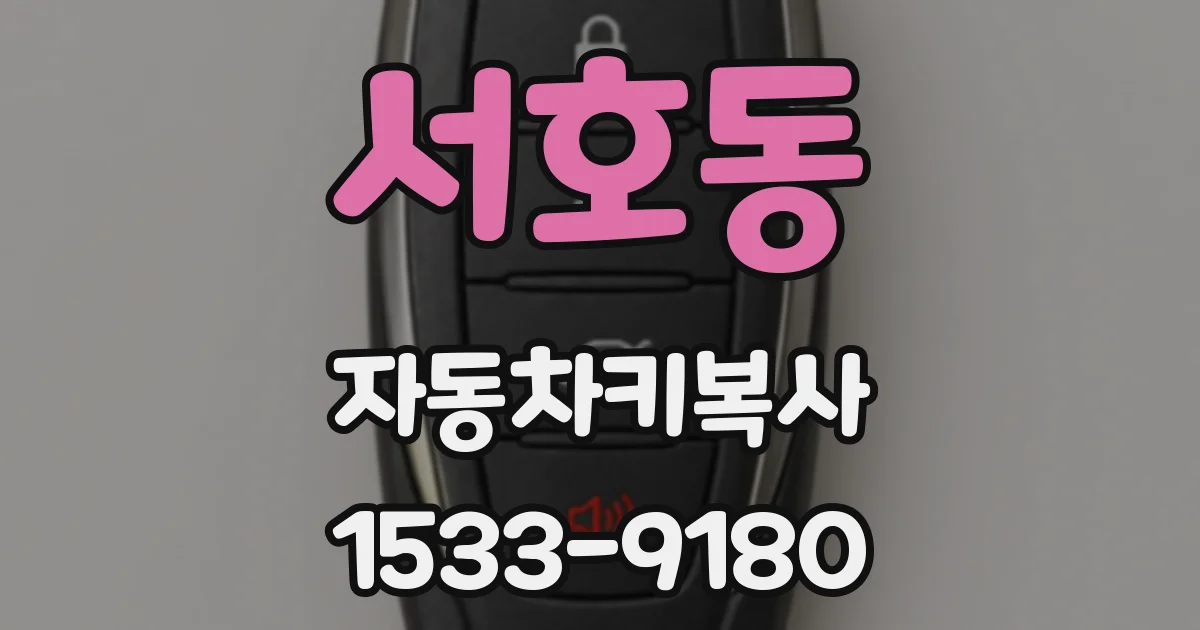 서호동 자동차키복사