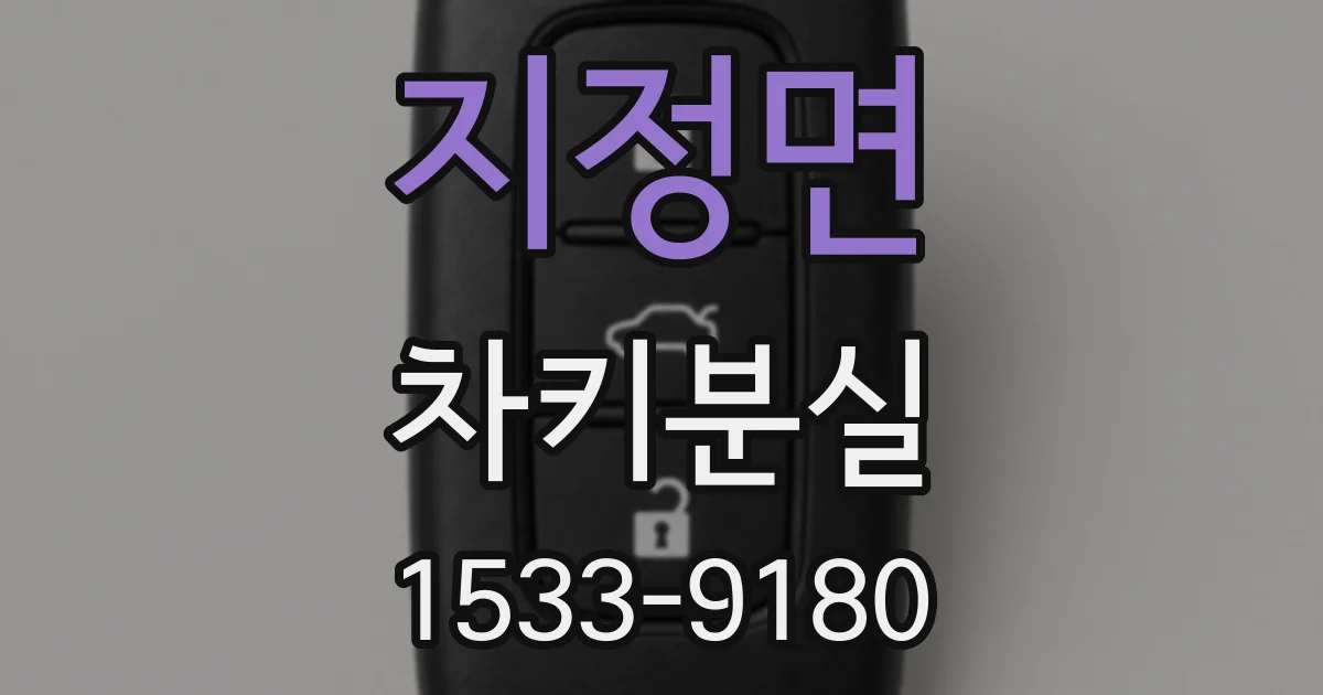 지정면 차키분실