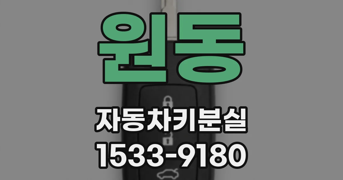 원동 자동차키분실