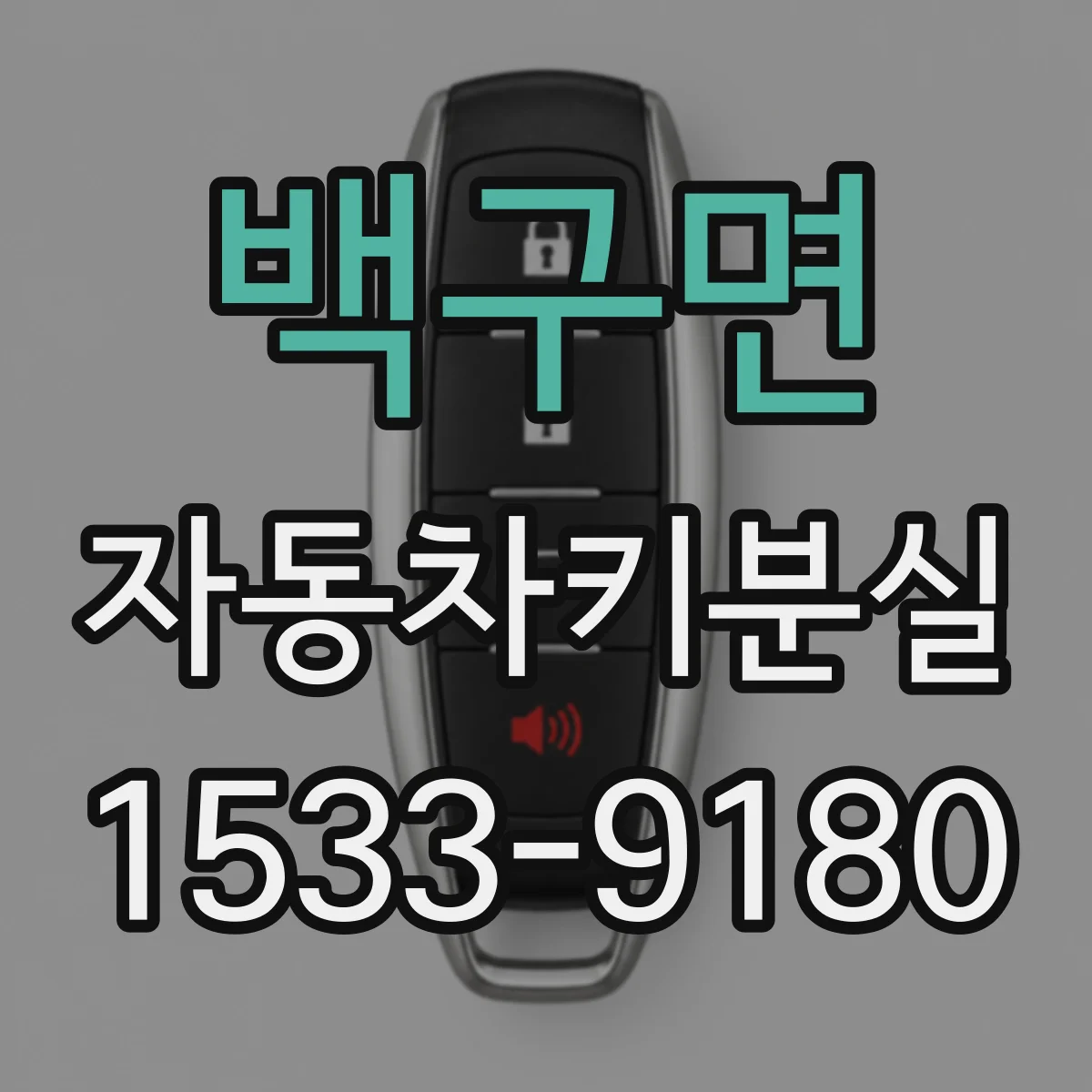 백구면 자동차키분실