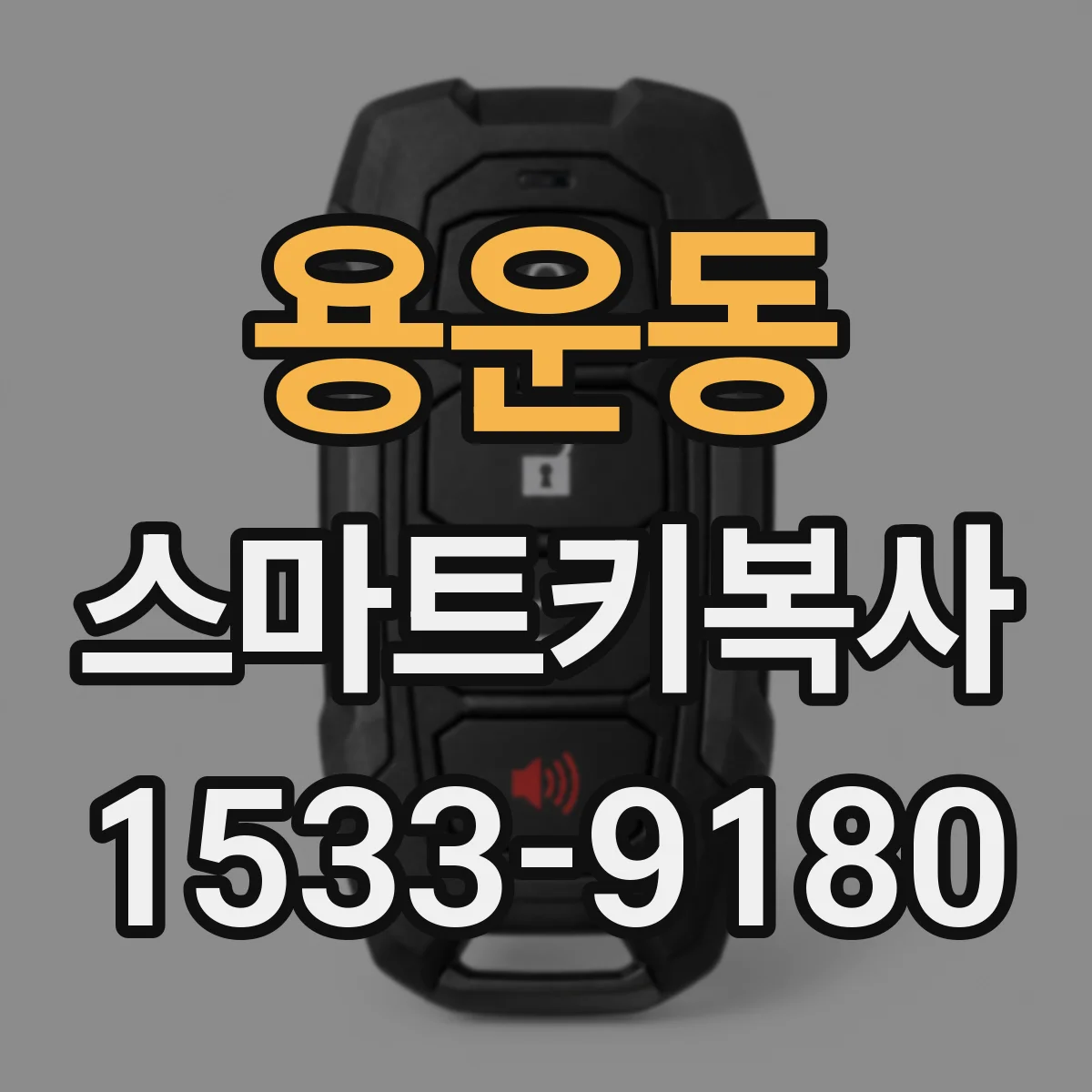 용운동 스마트키복사