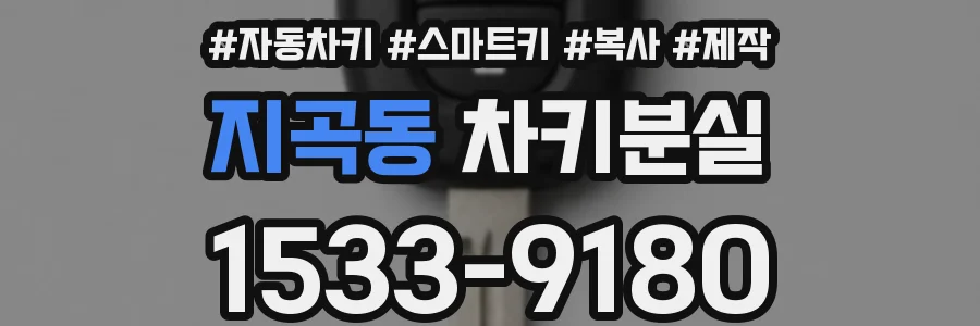 지곡동 차키분실