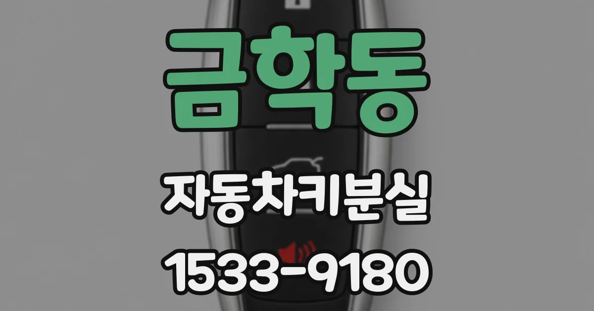 금학동 자동차키분실