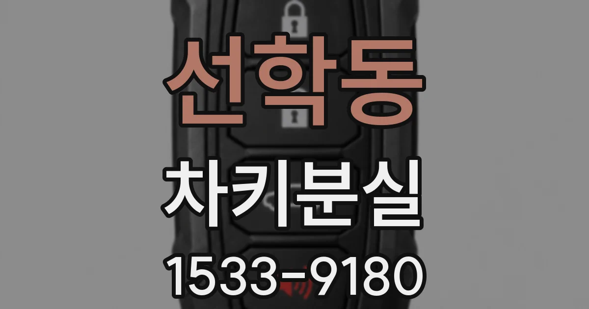 선학동 차키분실