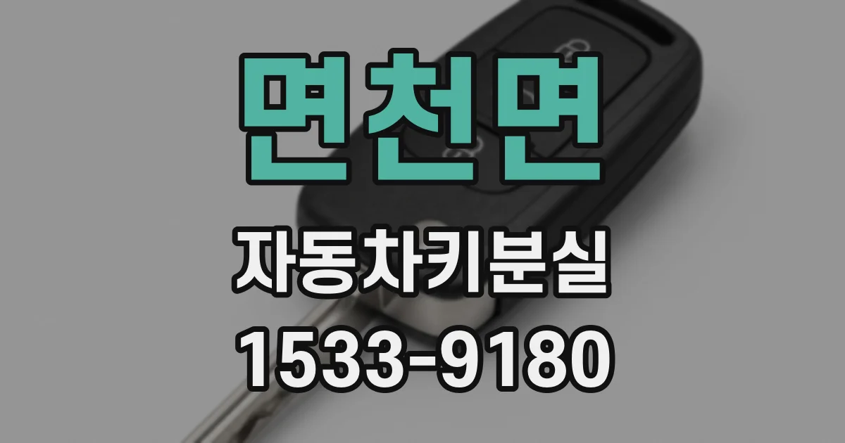 면천면 자동차키분실