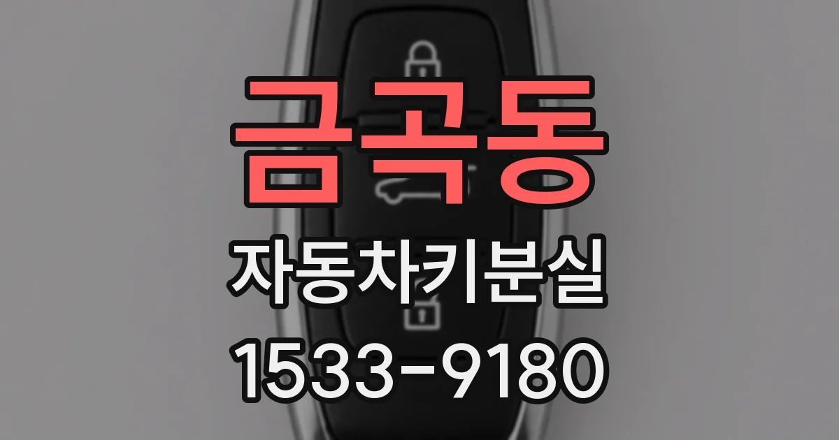 금곡동 자동차키분실
